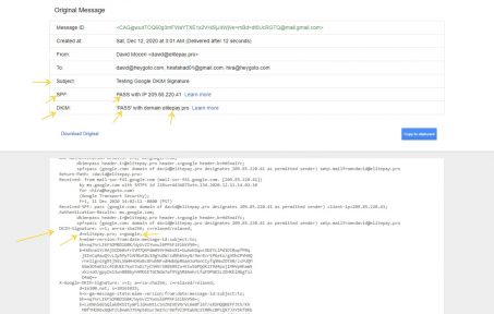 SPF-DKIM-Google-DNS-setup-verification-HiraFahad-Upwork
