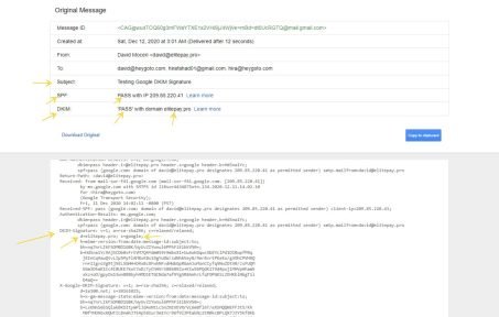 SPF-DKIM-Google-DNS-setup-verification-HiraFahad-Upwork